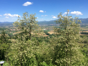 umbria