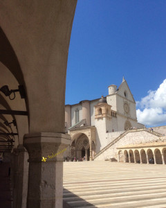 assisi 18