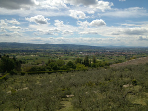 assisi (7)