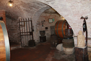 montepulciano (4)