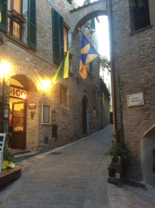 montone (1)