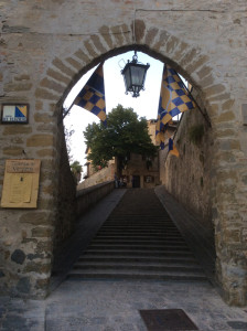 montone (13)