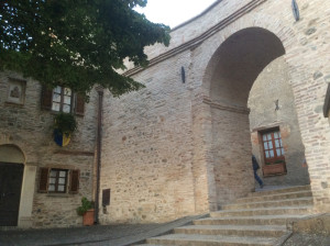 montone (14)