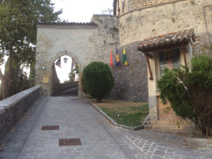 montone (9)