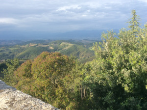 Monte S.M.Tiberina (4)