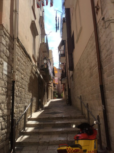 barletta (9)