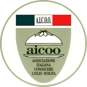 logo AICOO copia