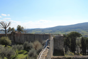 san_gimignano (18)