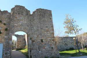 san_gimignano (8)