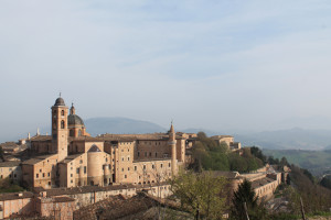 urbino 13