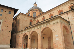 urbino 4