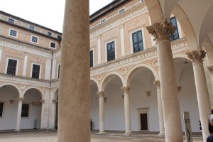 urbino 5