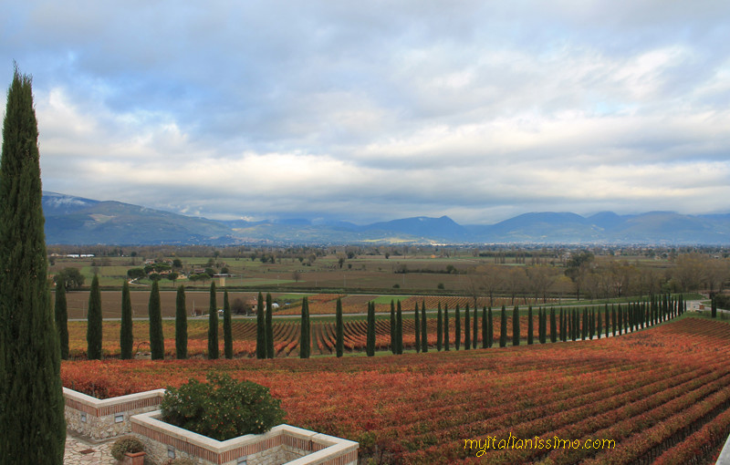 A Toast To Autumn @Fattoria COLSANTO -Bevagna, PG